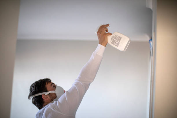 Best Attic Mold Removal  in Haven, KS