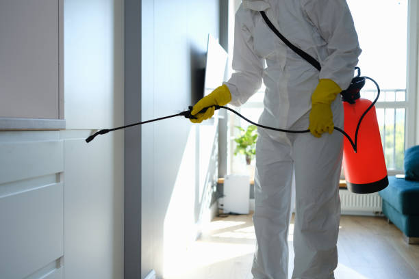 Best Mold Testing  in Haven, KS