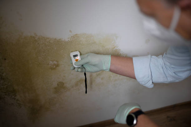 Best Crawl Space Mold Removal  in Haven, KS